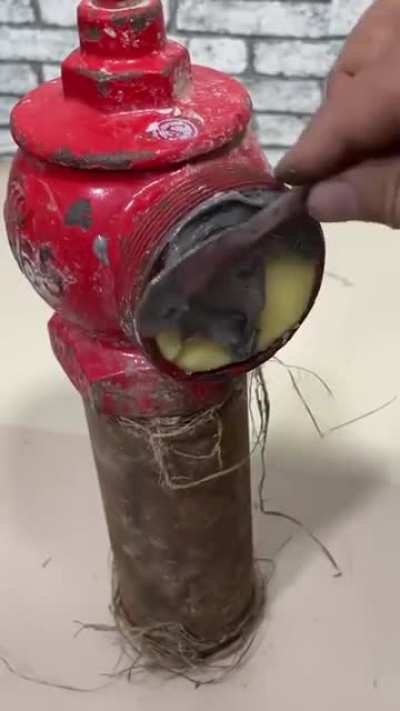 Potato