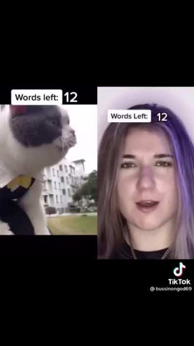 This cat can really sing!