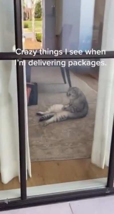 Delivery man