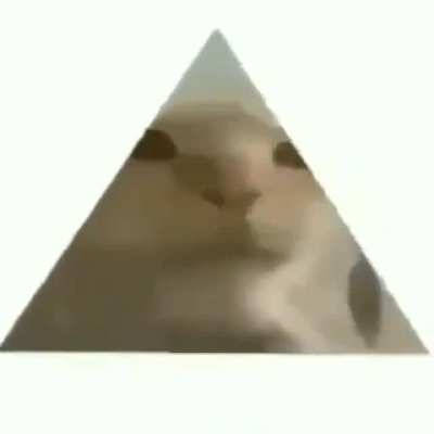 Gato prisma