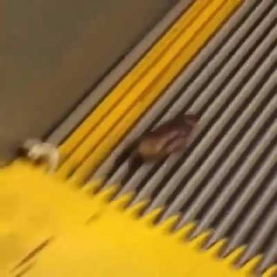 legend has it he&rsquo;s still running