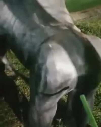 😳