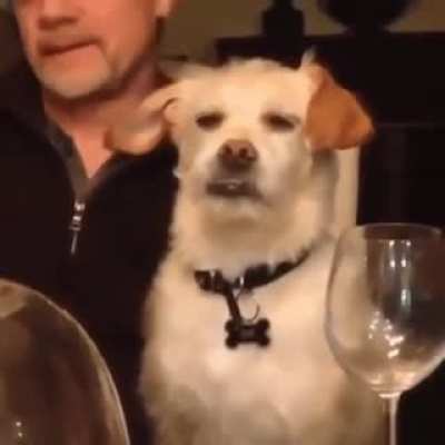 "Oh my, this story again"