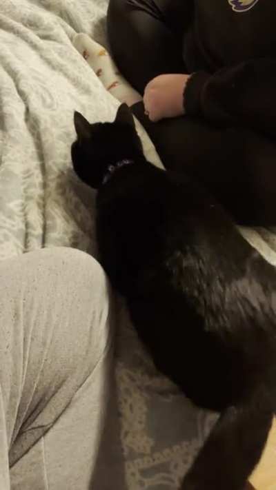 Butt wiggle calibrating&hellip;