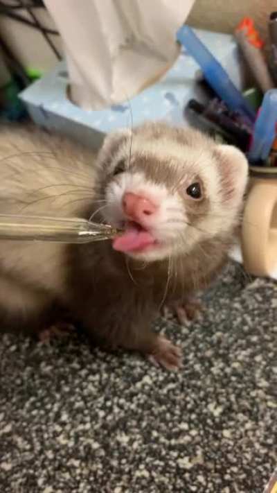 Licky licky!