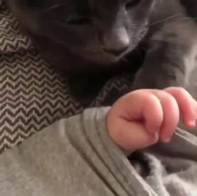 &ldquo;Ok little human, we can be friends&rdquo;