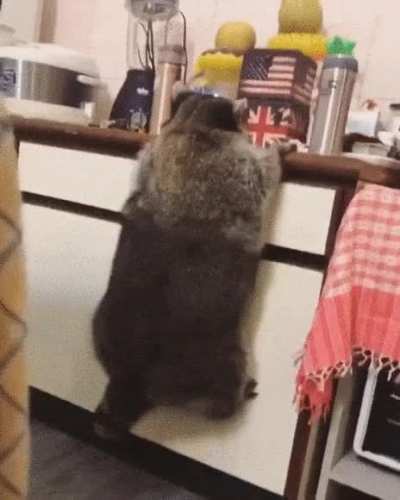 Когда чуток поправился