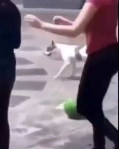 Idk