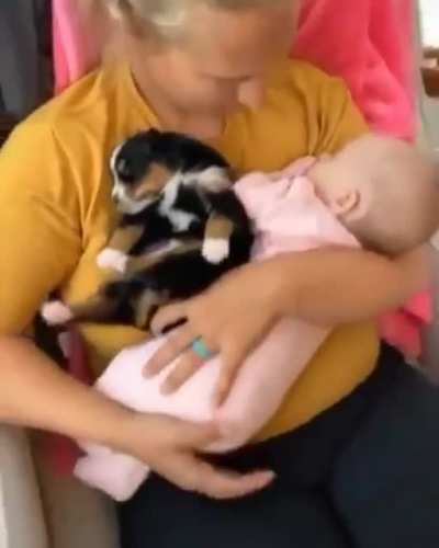 Cute as hell