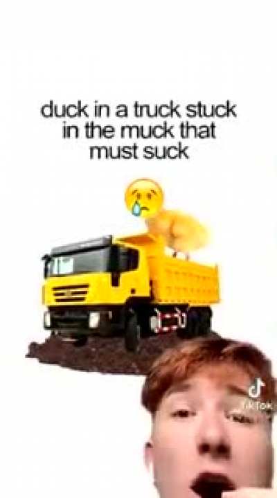 The duck in a truck