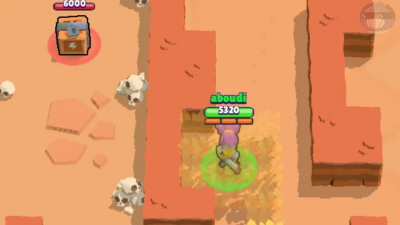 Shelly documentary