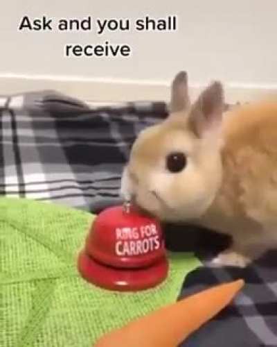 Now I want a carrot bell.