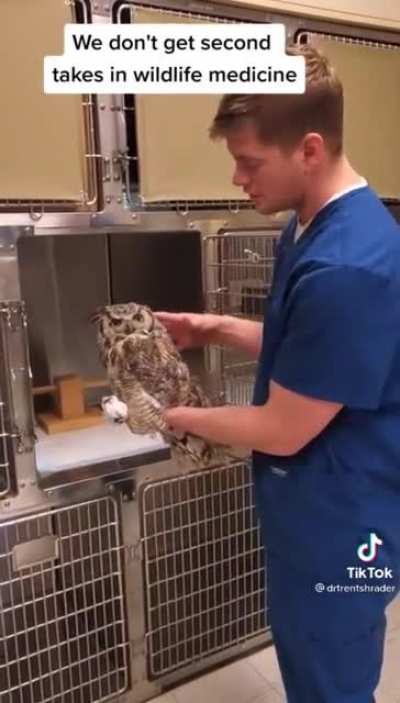 How to handle wild life properly