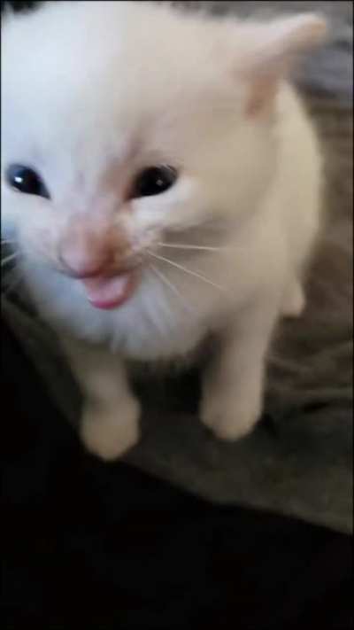 Hi Herbert