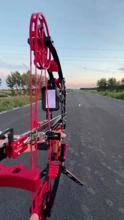 Ball bearing compound bow with vision scope