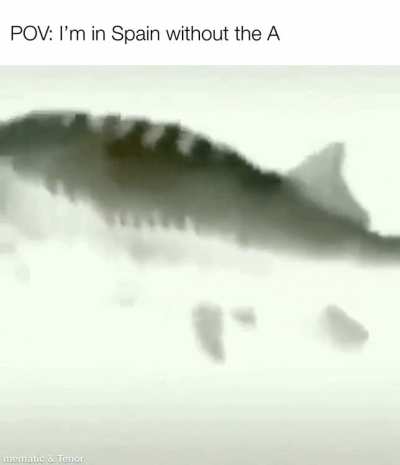 only for chads