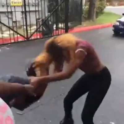 catfight
