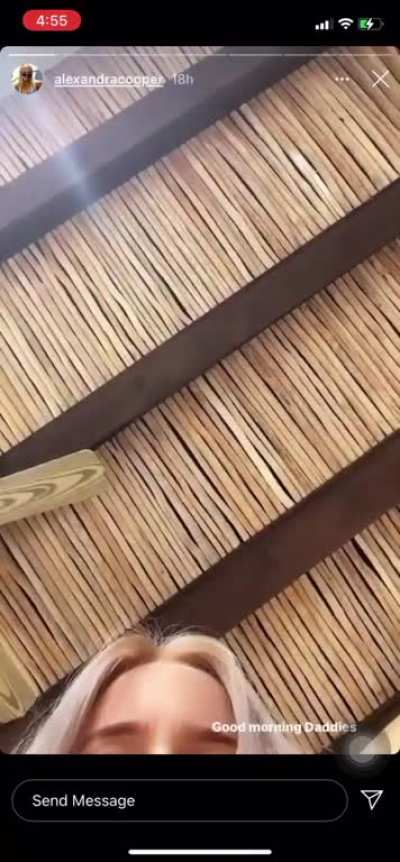 Alexandra copper
