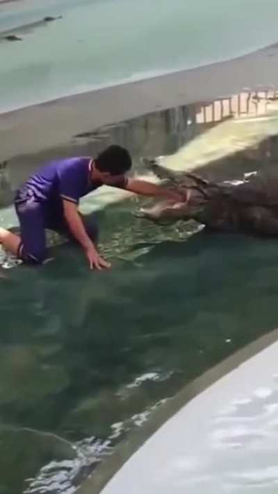 I'm just gonna put my arm in a alligators mouth, what could possibly happen?