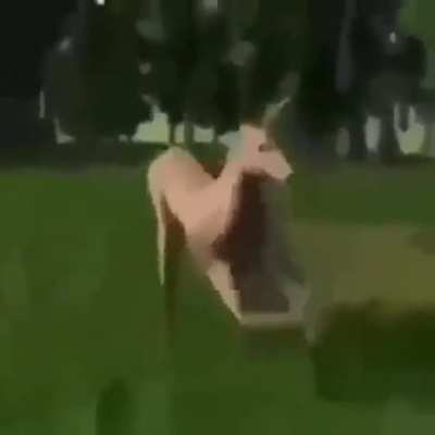 Selam&uuml;n aleyk&uuml;m babe