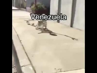 jueves de crapeo #2: meme clasico