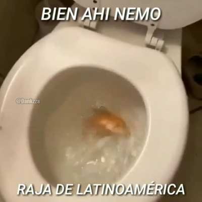 Quien pudiera
