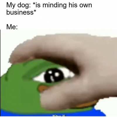 Good boy!