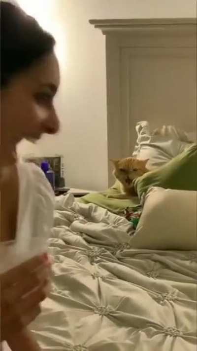 Not today human