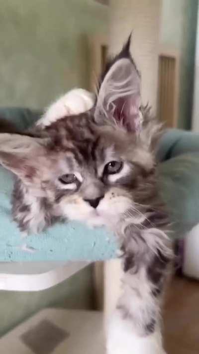 Is it morning already