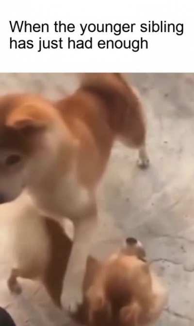 He had enough