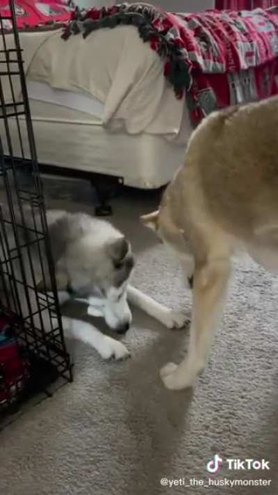 Such Tantrums...