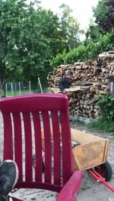 I'm a log!