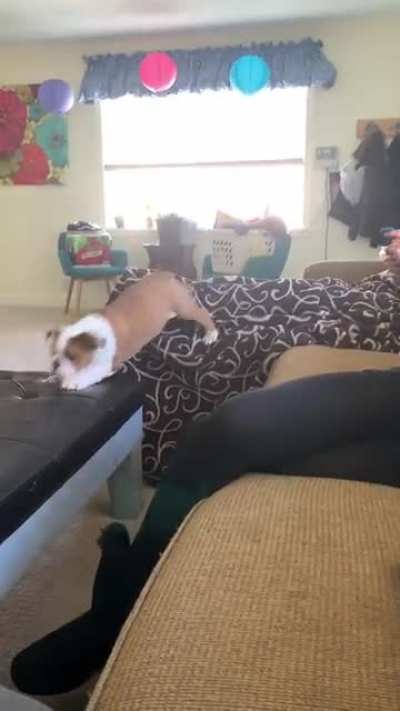 Me timing the dip&rsquo;s.