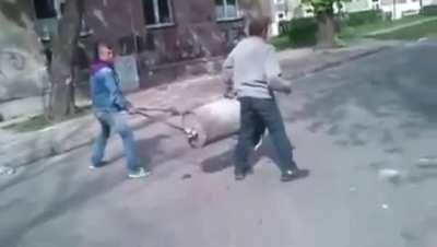 HANDS OFF