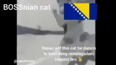 WTF 😳 BOSNIA WIN AGAin????
