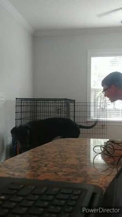 Got the dog excited XD