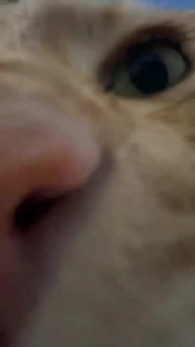 😘