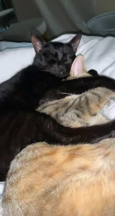 These two melt my heart