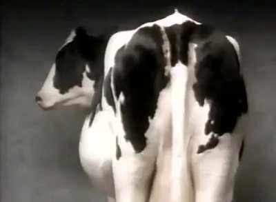 Guaranteed to permanently ruin your next craving. (Anti-smoking PSA from 1997)
