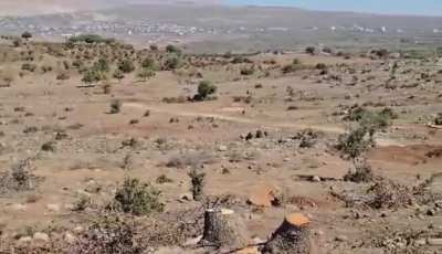 According to local sources, the Israeli Army is deforesting newly occupied areas in northern Quneitra to create line-of-sight for its forces, but won't allow Sunni villagers from Jubatha al-Khashab &amp;amp; Tranjeh to at least collect the firewood, but is al