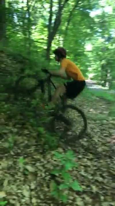 Mountain biking