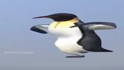buenos d&iacute;as desde latam