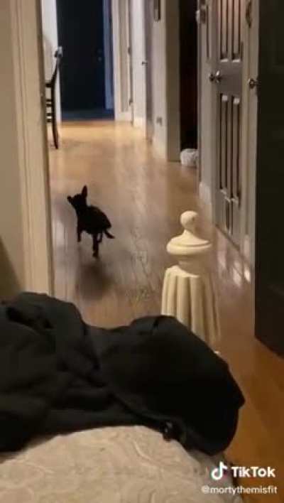 Shake, shake, shake se&ntilde;ora
