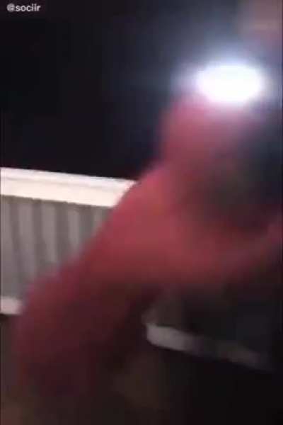 blursed video