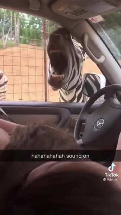 AAAAAAAAAAAAAAA