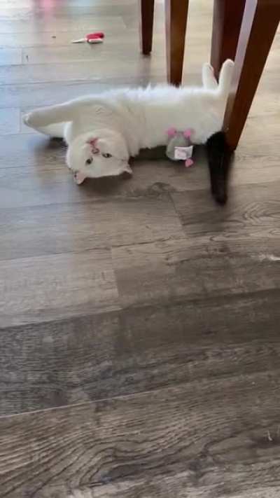 I&rsquo;m so glad I spent $20 on this new mouse toy.