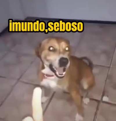 Baba-