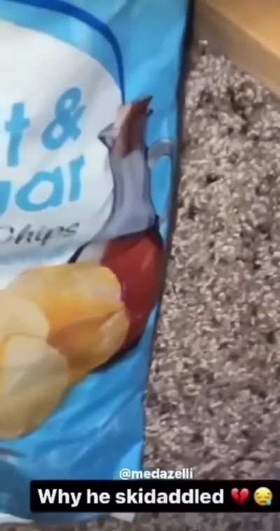 I love this clip so much