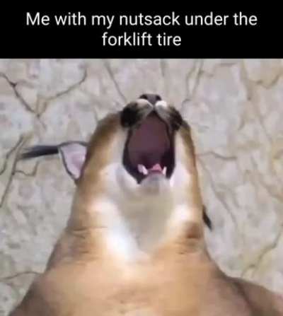 ouchie