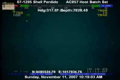 Bigfin Squid From an Oil Rig at depth of ~1.5 miles